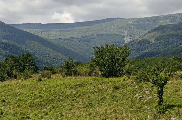 Panorama Glade Zielonego Lasu Przed Czarnym Piku Szczyt Witosza Bułgaria — Zdjęcie stockowe