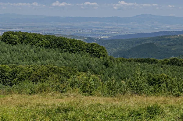 Panorama Glade Zielonego Lasu Mix Górach Witosza Części Sofii Przed — Zdjęcie stockowe