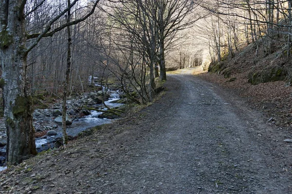 Ecological road through a mountainous autumn forest near a small river, Teteven town, Balkan mountain, Bulgaria