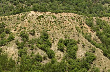Sarı kaya oluşumları, Rila Dağı 'nın Batı payı, Kyustendil bölgesi, Bulgaristan, Avrupa yeni durakları piramitleri ile komşu eğim bir görünüm 