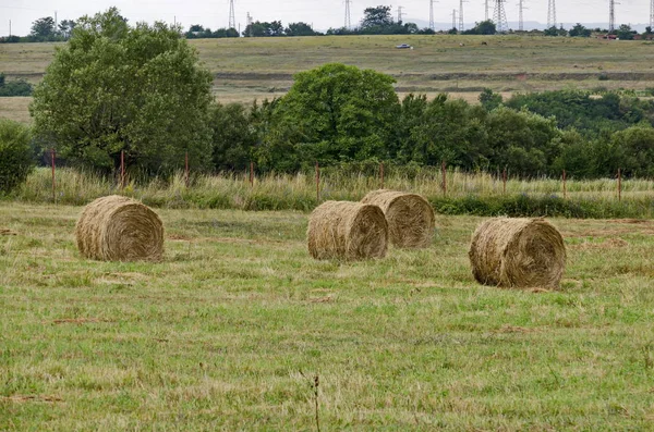 Strohfeld Mit Runden Trockenen Heuballen Vor Der Bergkette Der Nähe — Stockfoto