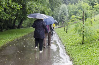 Dupnitsa, Bulgaristan - 14 Temmuz 2019: Bulgaristan'ın Dupnitsa kasabası yakınlarındaki Rila Park'ta şemsiyelerle yağmurlu bir yürüyüş. Yerinde ziyaret edin. 