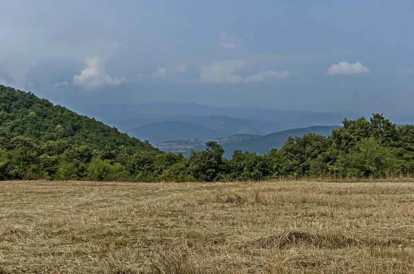 Increíble Vista Otoñal Del Claro Pico Bosque Con Árboles Hoja — Foto de Stock