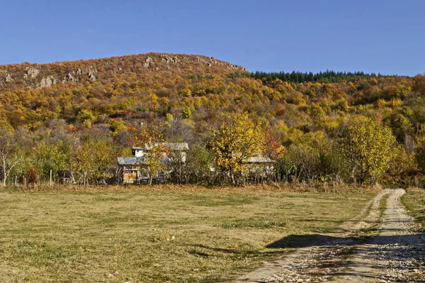 Amazing Autumn View Glade Hill Forest Deciduous Trees Residential District — Stock Photo, Image