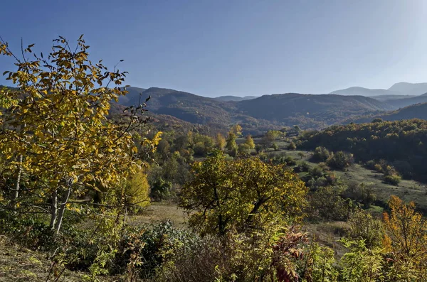 Increíble Vista Otoño Glade Colina Bosque Con Árboles Hoja Caduca — Foto de Stock