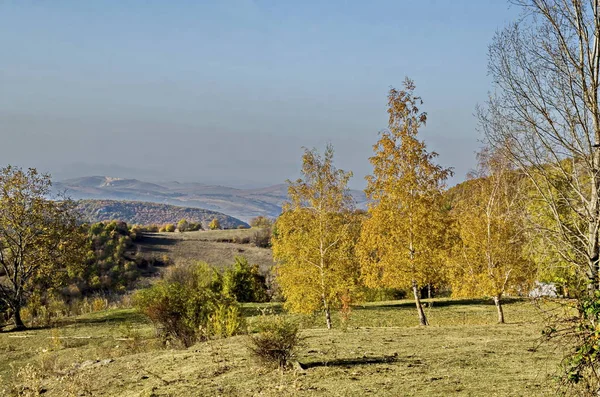 Increíble Vista Otoño Glade Colina Bosque Con Árboles Hoja Caduca — Foto de Stock