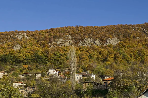 グレード 落葉樹と美しい村ズレビチコの住宅街 ブラシゴヴォ自治体 ロドペ山脈 ブルガリアの素晴らしい秋の景色 — ストック写真