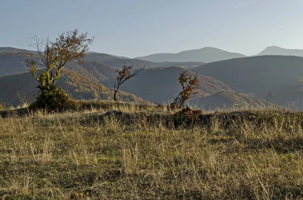 Zhrebichko 브라시고보 로도페 불가리아 나무와 글레이드 놀라운 가을보기 — 스톡 사진