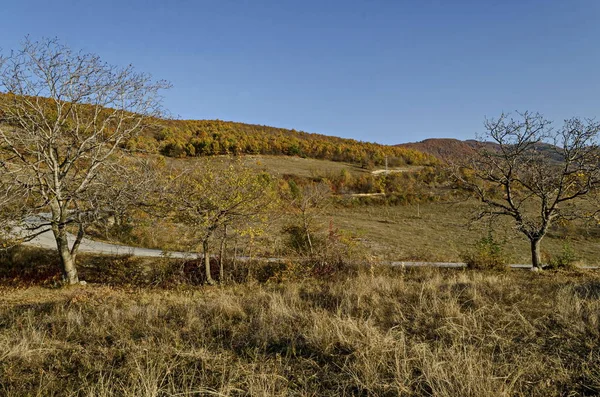 Incroyable Vue Automne Sur Clairière Colline Forêt Avec Des Arbres — Photo