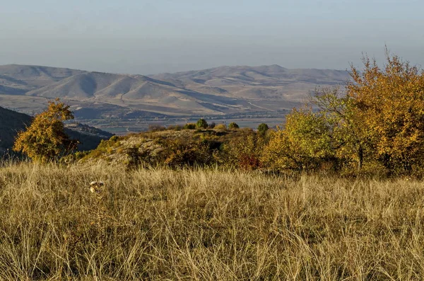 Incredibile Vista Autunnale Radura Collina Foresta Con Alberi Decidui Vicino — Foto Stock