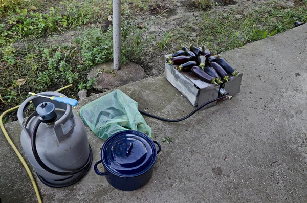 Blue Eggplant Aubergine Roasting Gas Stove Garden Zavet Bulgaria — Stock Photo, Image