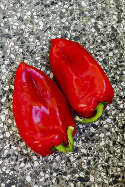 Δύο Κόκκινες Πρώτες Ώριμες Πιπεριές Πάπρικα Capsicum Πράσινο Στέλεχος Παρασκευασμένα — Φωτογραφία Αρχείου