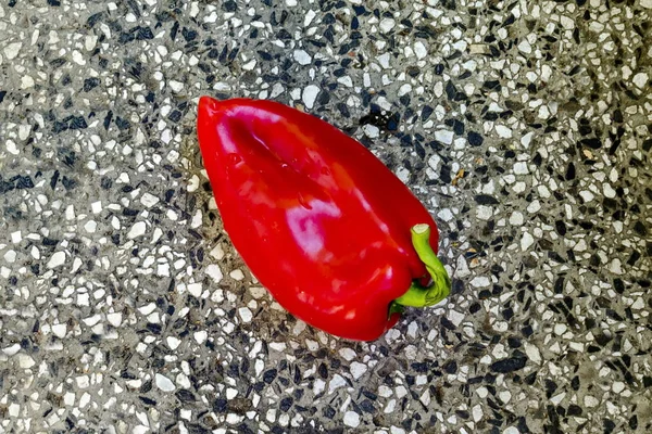 Merah Tunggal Mentah Paprika Matang Atau Capsicum Dengan Batang Hijau — Stok Foto