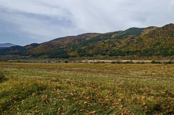 Kolorowy Jesienny Las Drzewami Iglastych Liściastych Droga Polany Górach Bałkańskich — Zdjęcie stockowe