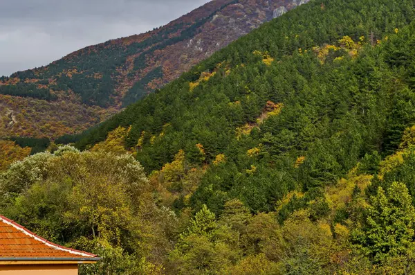 Красочные Осенние Леса Хвойными Лиственными Деревьями Поляной Балканской Горе Недалеко — стоковое фото