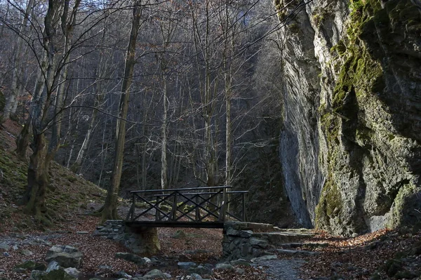 Őszi Séta Labirintus Teteven Balkán Magas Csúcsok Folyó Híd Mohos — Stock Fotó