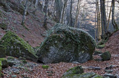 Yüksek tepeler, açıklıklar, iki yosunlu büyük taş ve yaprak döken orman, Bulgaristan 'ın Stara Planina kentinde bulunan Teteven Balkan labirentine sonbahar manzarası  