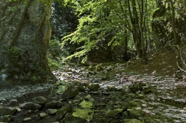 Yüksek zirveler, nehir ve yosunlu yosunlu kayalıklarla dolu Teteven Balkan labirentinde yaz yürüyüşü, Bulgaristan 'ın Stara Planina kenti 