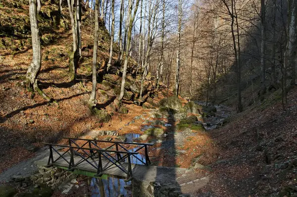 Őszi Séta Labirintusban Teteven Balkán Magas Csúcsok Folyó Híd Stara — Stock Fotó