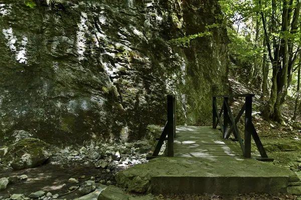 Summer Walk Maze Teteven Balkan High Peaks River Bridge Mossy — Stock Photo, Image