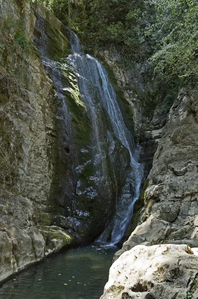 Καλοκαίρι Γενική Άποψη Του Καταρράκτη Skoka Άλμα Του Ποταμού Kozniza — Φωτογραφία Αρχείου