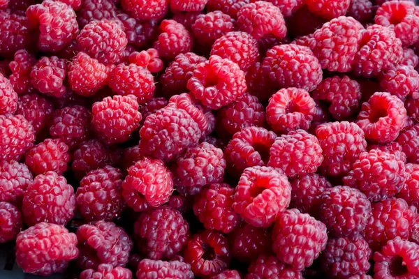 Heap Many Ripe Raspberry Fruits Can Used Background Sofia Bulgaria — Stock Photo, Image