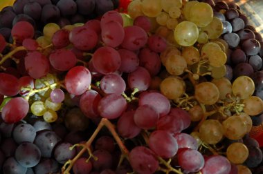 Taze beyaz, siyah ve pembe üzümler, yemeye hazır, Zavet, Bulgaristan 