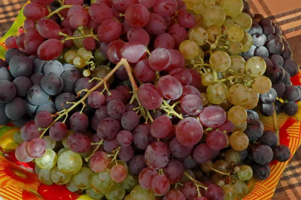 Uvas Frescas Maduras Brancas Pretas Rosa Prontas Para Comer Zavet — Fotografia de Stock