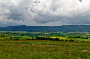 Bulgaristan 'ın Plana, Rila ve Verila dağları arasında çiçek açan yabani çiçeklerle kozalaklı ve yaprak döken ağaçlar, tarım arazileri ve farklı otlaklarla dolu taze çayırlar.  