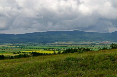 Bulgaristan 'ın Plana, Rila ve Verila dağları arasında çiçek açan yabani çiçeklerle kozalaklı ve yaprak döken ağaçlar, tarım arazileri ve farklı otlaklarla dolu taze çayırlar.  