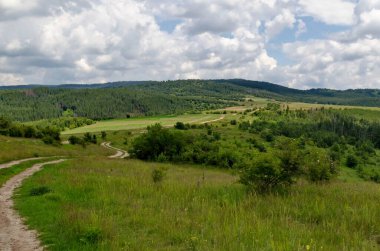 Kozalaklı orman, taze çayırlar, çiçek açan çeşitli otlar ve Bulgaristan 'ın Plana dağında dolambaçlı bir yol.   