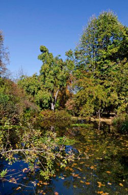 Bir göl ve içinde yansımalar olan sonbahar renkli ormanlar, Sofya ve Bulgaristan  