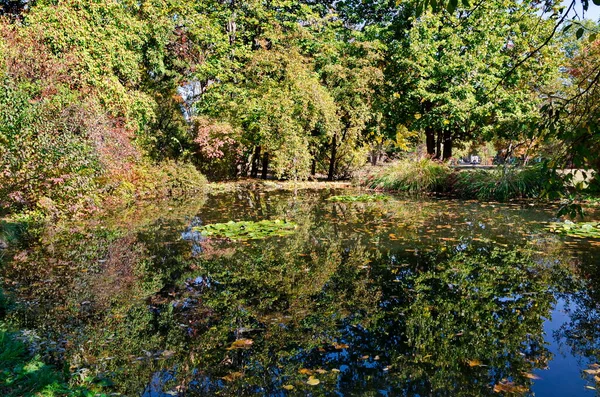 Outono Floresta Colorida Com Lago Reflexões Nele Sofia Bulgária — Fotografia de Stock