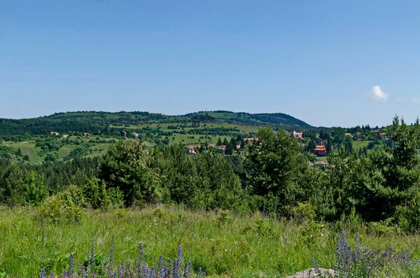 Vue Panoramique Estivale Des Quartiers Village Plana Dans Montagne Plana — Photo