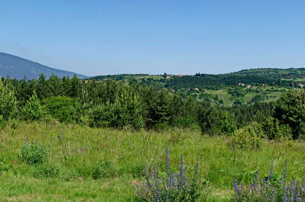 Летний Панорамный Вид Окрестности Деревни Плана Горах Плана Болгария — стоковое фото