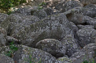 Dağlarda, Altın Köprüler 'de, Vitosha Ulusal Parkı' nda, Sofya 'da, Bulgaristan' da eşsiz bir taş nehri.  