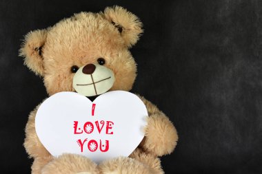 Ayı Teddy bir kalp şeklinde çerçeve ile Sevgililer Günü'nde seni seviyor