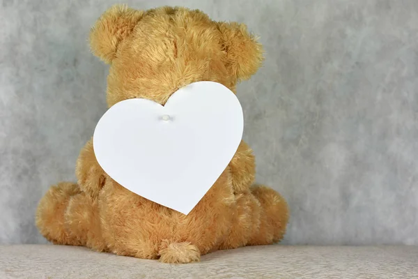 Ours en peluche avec cadre cardiaque — Photo