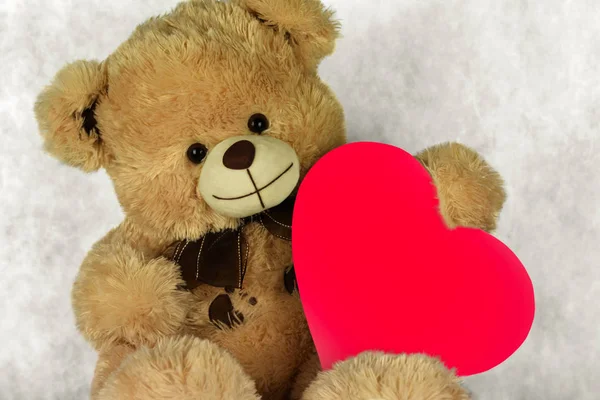Oso Teddy con un corazón te ama — Foto de Stock