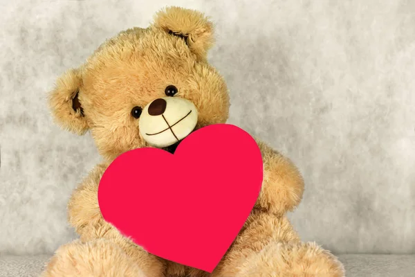 Oso Teddy con un corazón te ama — Foto de Stock