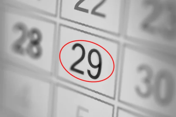 Planner calendar deadline day of the week on white paper 29