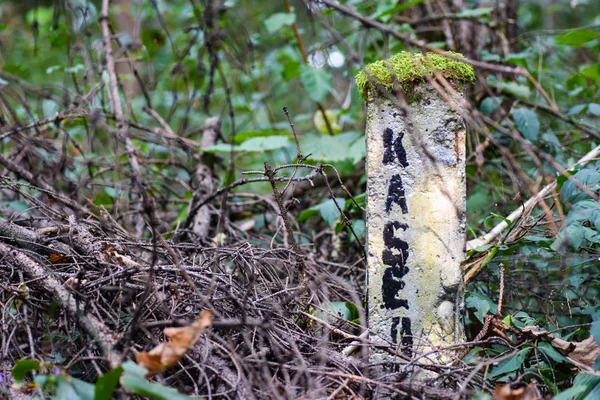 Приховані бетонні простінкові в лісі, позначаючи кабель Радянського Союзу за часів холодної війни — стокове фото