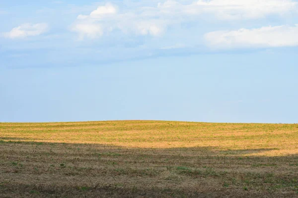 Campo de primavera con hierba seca y brotes verdes contra el cielo azul nublado —  Fotos de Stock