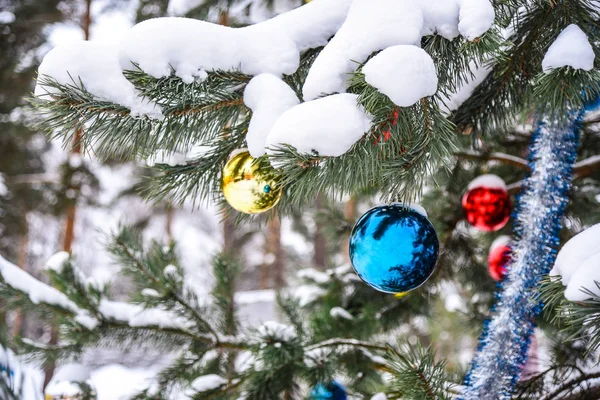 Weihnachtskugeln hängen an einem natürlichen Baum — Stockfoto