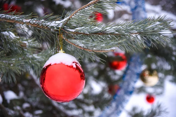 Noel topları doğal Ağaçta asılı