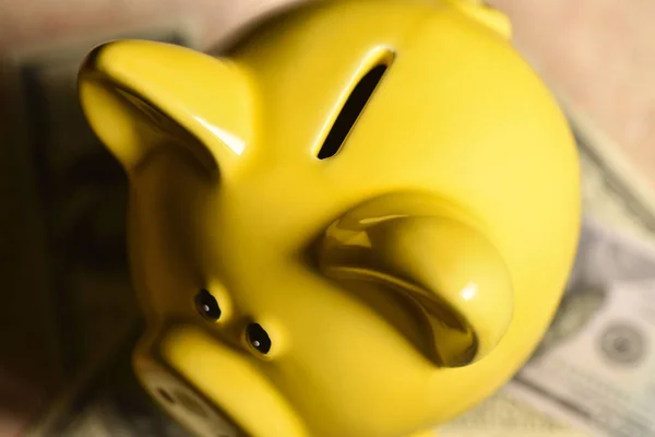 Yellow pig moneybox without coins on a black background