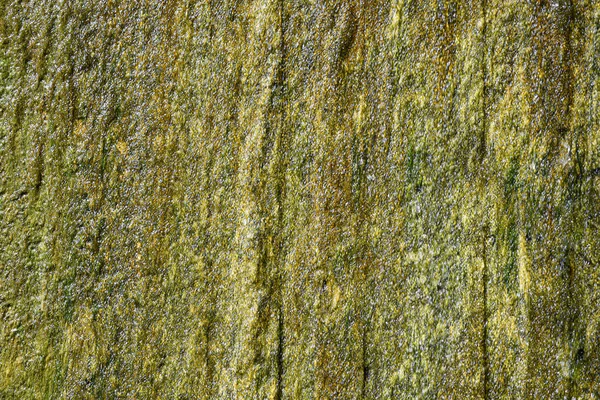 Фон, текстура, мокра кам'яна стіна з краплями води — стокове фото
