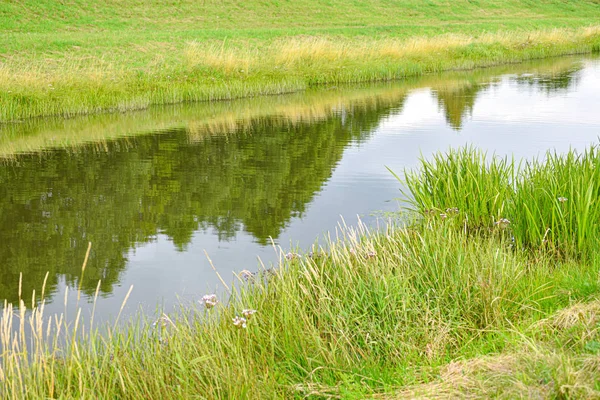 Reflet des arbres dans la rivière dans la nature — Photo