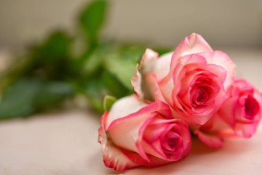 Ahşap bir tahta üzerinde pembe güller yakın çekim