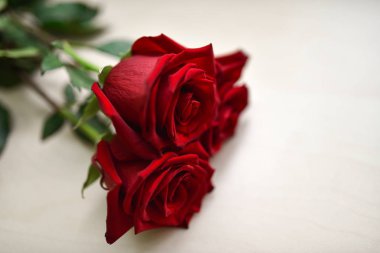 Beyaz arka plan üzerinde bir masada kırmızı güller